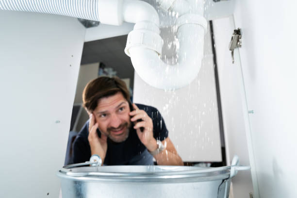 Best Commercial Plumbing Services  in Colon, MI