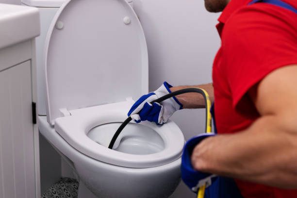 Best Plumbing Inspection Services  in Colon, MI