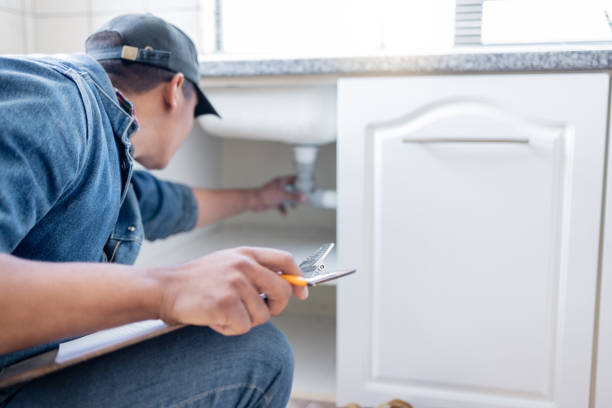 Best Plumbing Services Near Me  in Colon, MI