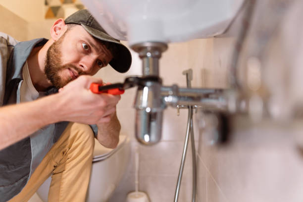 Best Local Plumber Services  in Colon, MI
