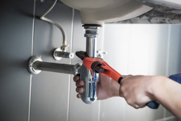 Best Residential Plumbing Services  in Colon, MI